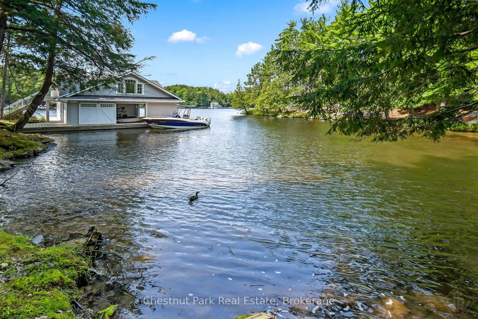 1160 Eilean Gowan Island • Bracebridge, ON photo 41