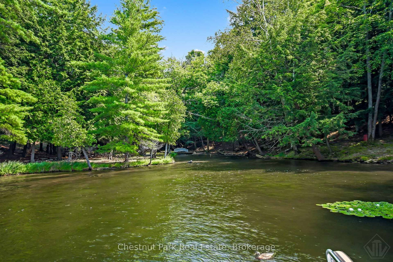 1160 Eilean Gowan Island • Bracebridge, ON photo 44