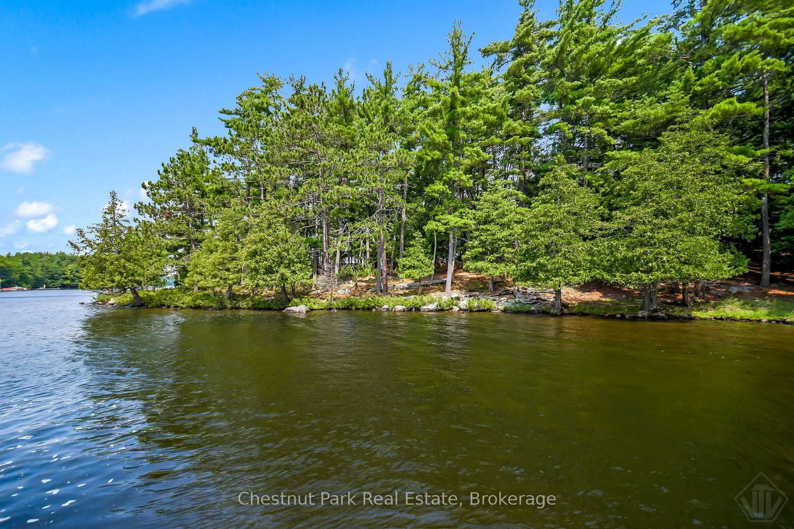 1160 Eilean Gowan Island • Bracebridge, ON photo 45