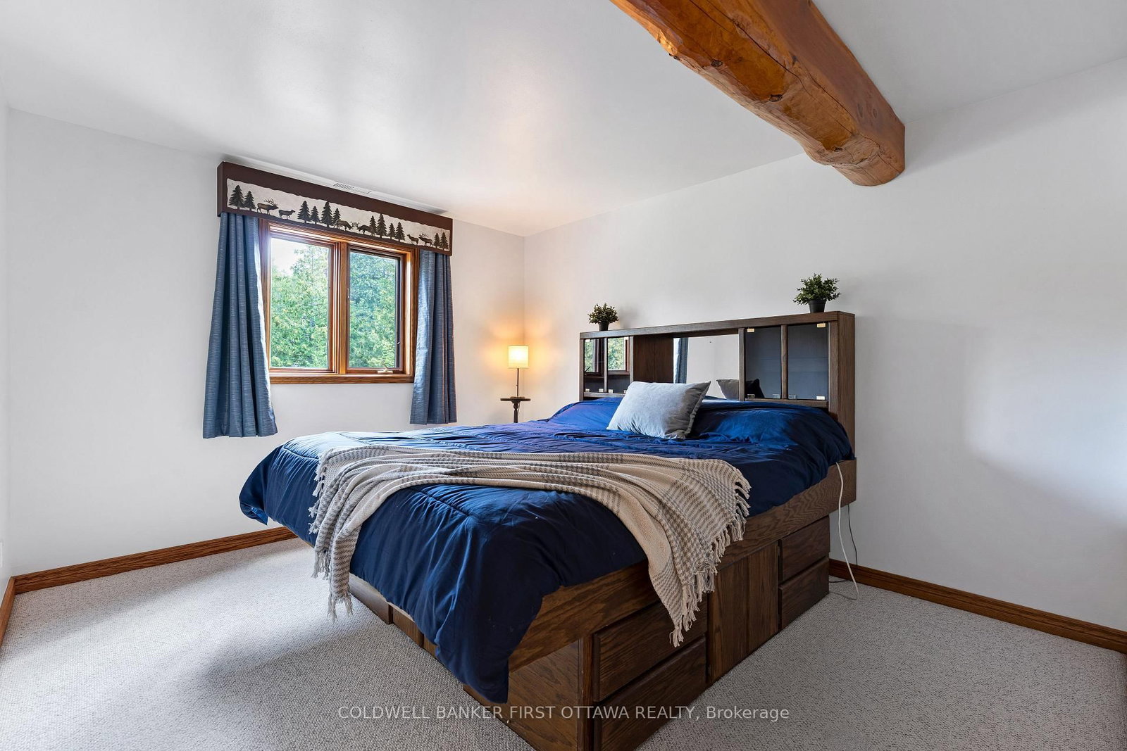 5125 ARDOCH Road • Ardoch, ON photo 26