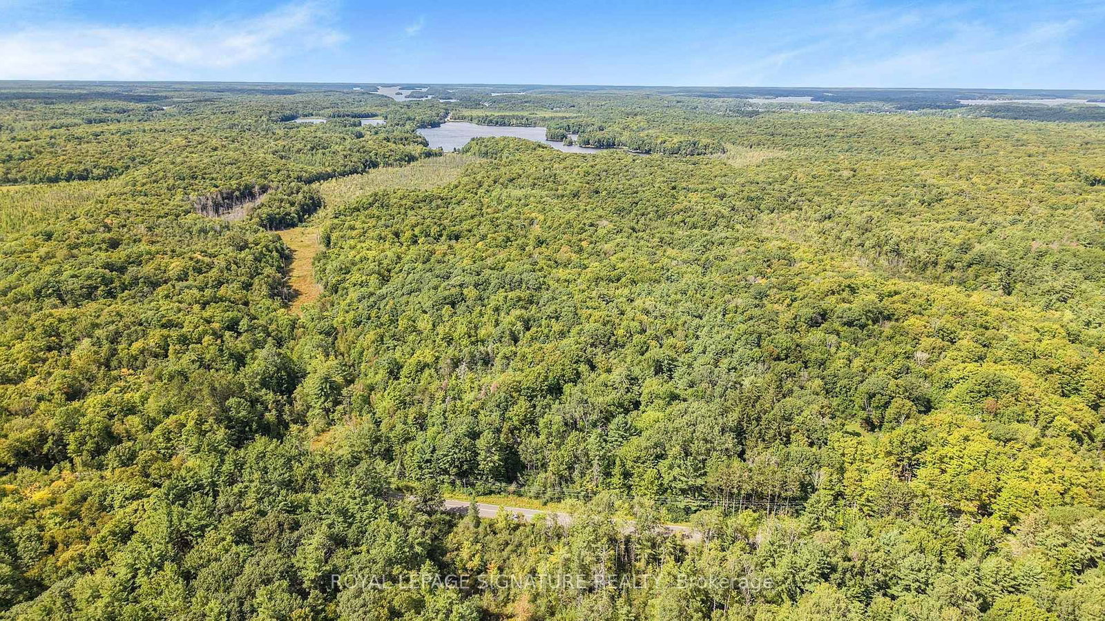 LT 19-20 CON 1 MEDORA • Muskoka Lakes, ON photo 10