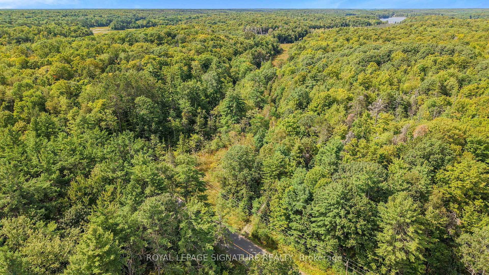 LT 19-20 CON 1 MEDORA • Muskoka Lakes, ON photo 14