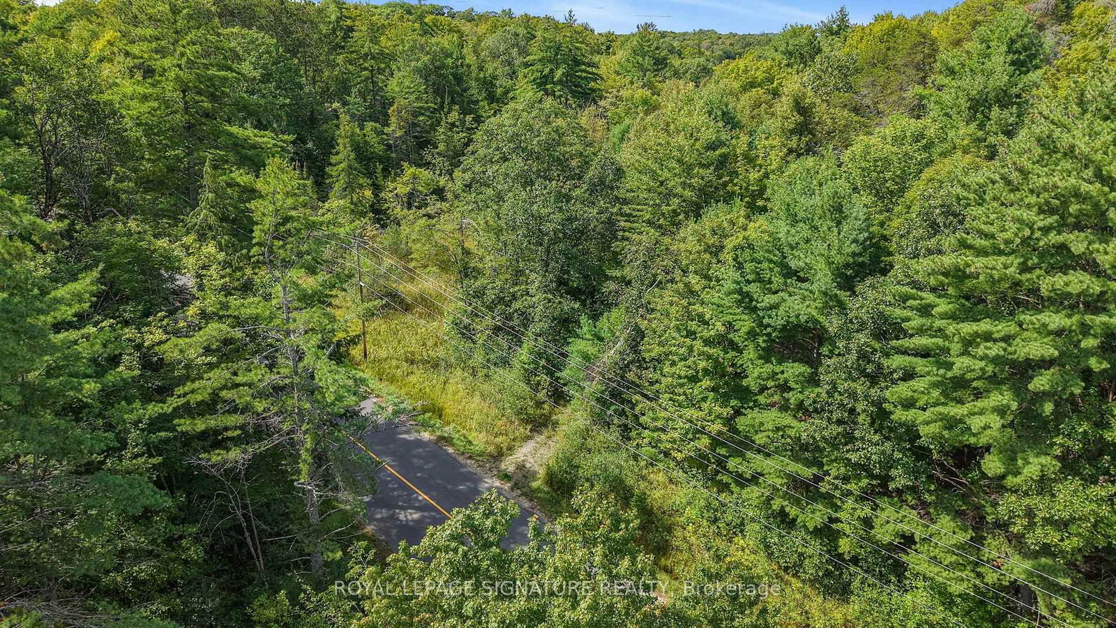 LT 19-20 CON 1 MEDORA • Muskoka Lakes, ON photo 15