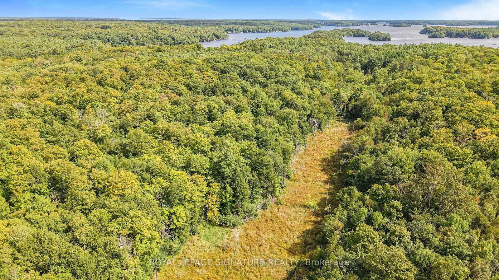 LT 19-20 CON 1 MEDORA • Muskoka Lakes, ON photo 17