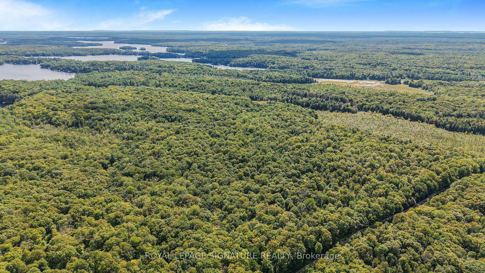 LT 19-20 CON 1 MEDORA • Muskoka Lakes, ON photo 2