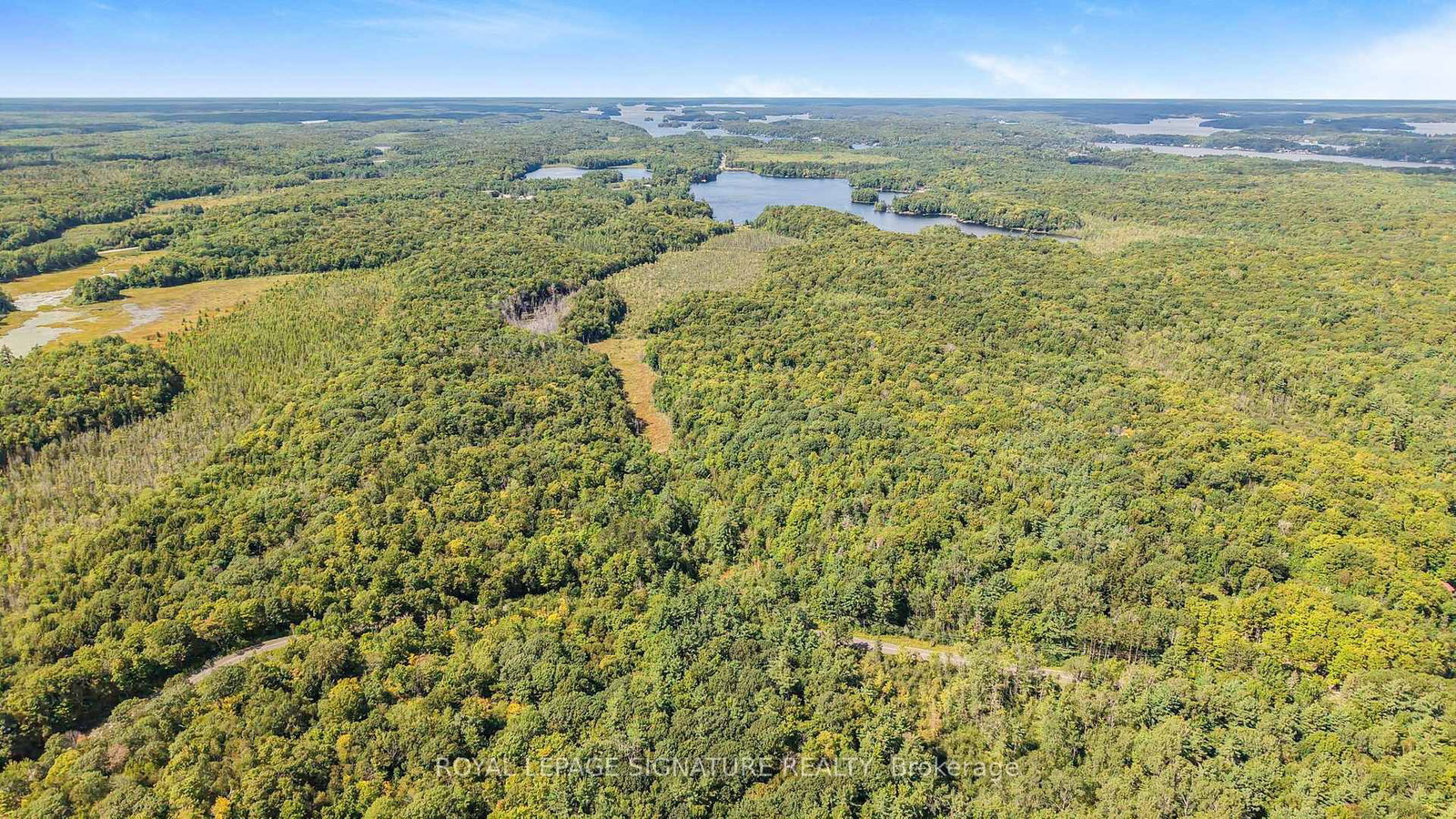 LT 19-20 CON 1 MEDORA • Muskoka Lakes, ON photo 3