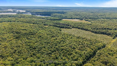 LT 19-20 CON 1 MEDORA • Muskoka Lakes, ON photo 8