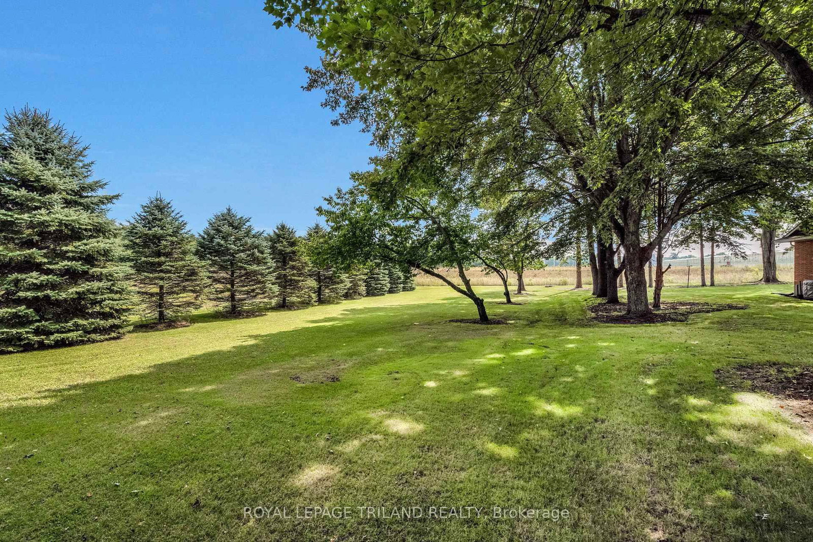 254 Nwals-Swals Townline • Norfolk, ON photo 36