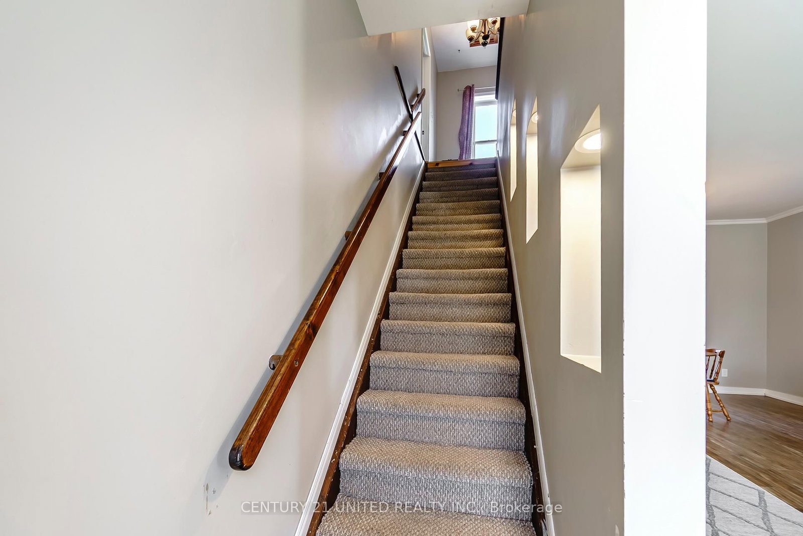 15 Mathison Street E • Havelock-Belmont-Methuen, ON photo 26
