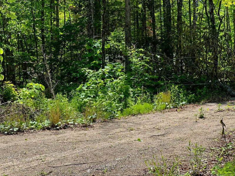 0 Buckshot Lake Road