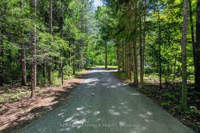 14930 Concession 10-11 Road • North Stormont, ON photo 3