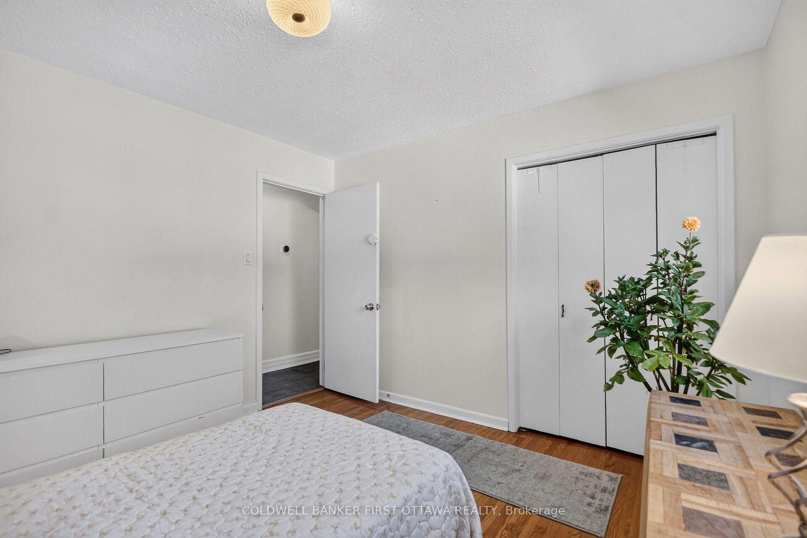 779 Halstead Street • Ottawa, ON photo 25