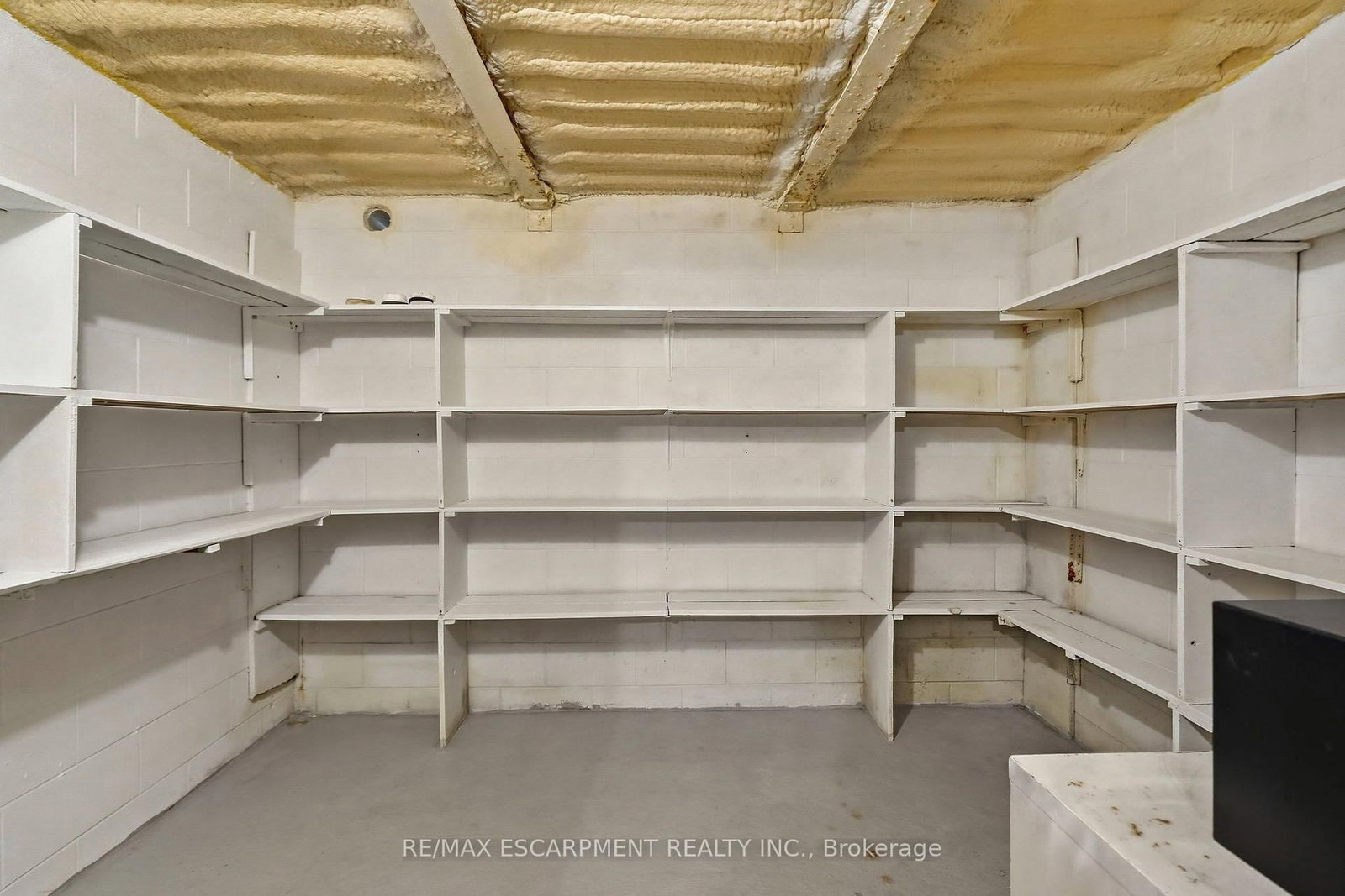 8 Norbert Street • Kitchener, ON photo 31