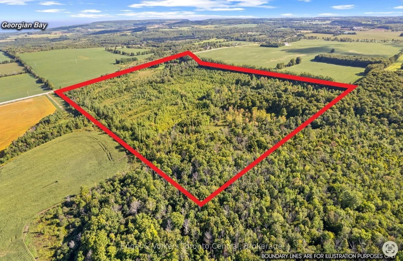 628482 119 Grey Road • Blue Mountains, ON photo 24