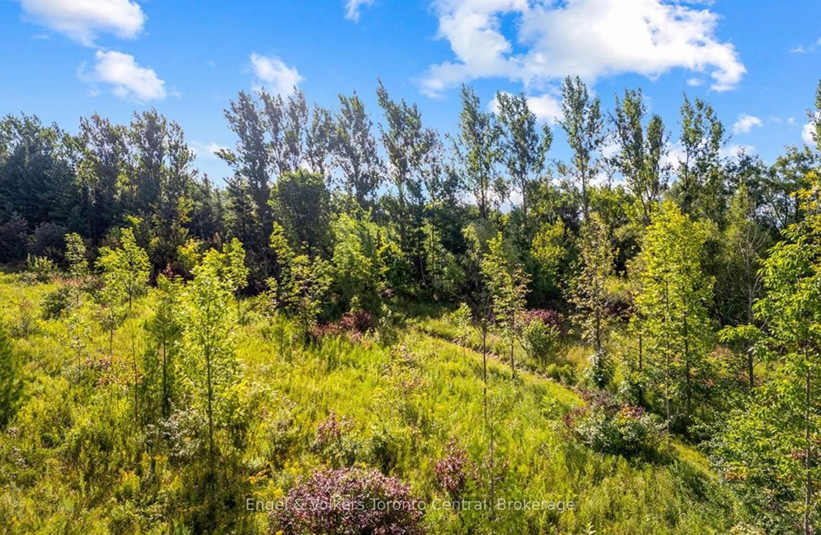 628482 119 Grey Road • Blue Mountains, ON photo 25