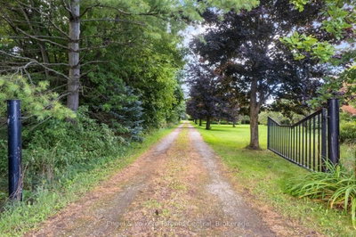 628482 119 Grey Road • Blue Mountains, ON photo 3