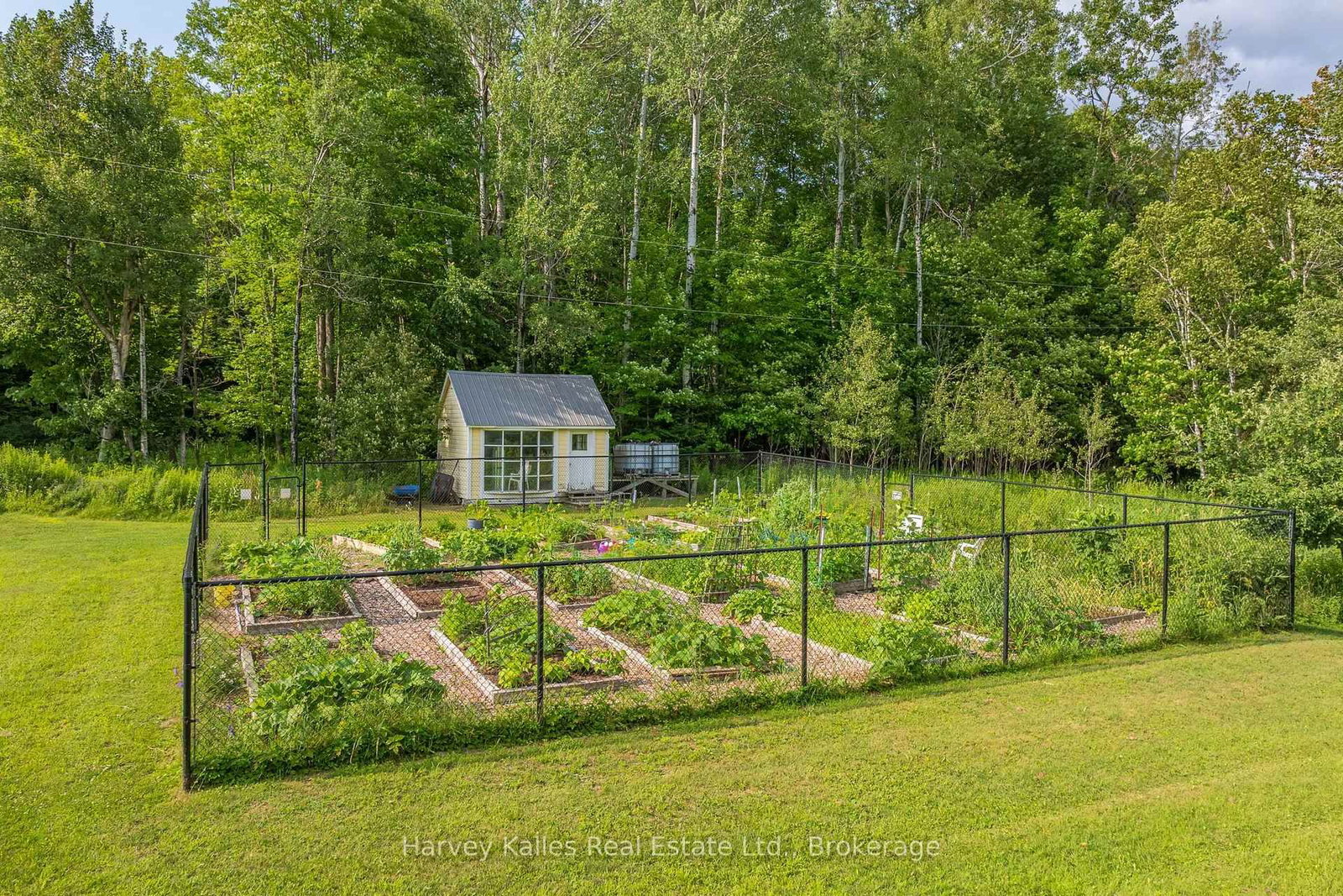 34 Logging Trail • Huntsville, ON photo 45