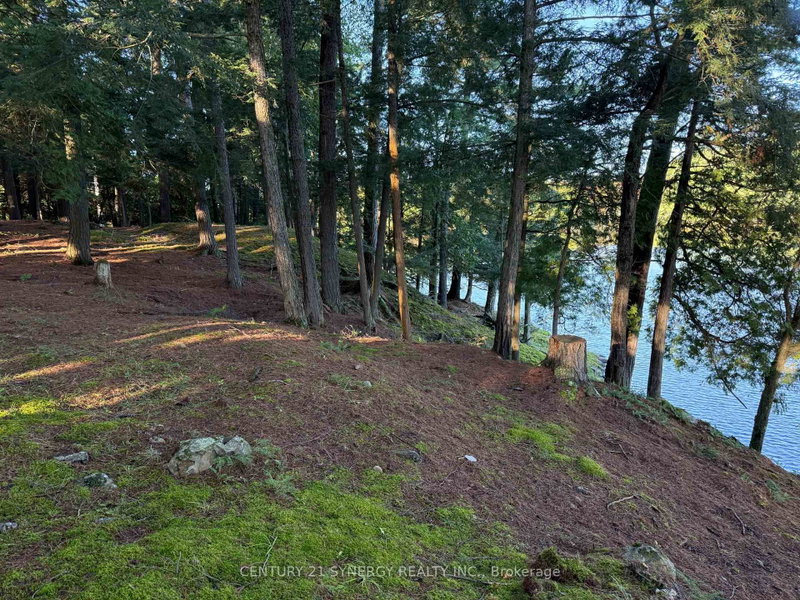 218 Lee Trail Lane