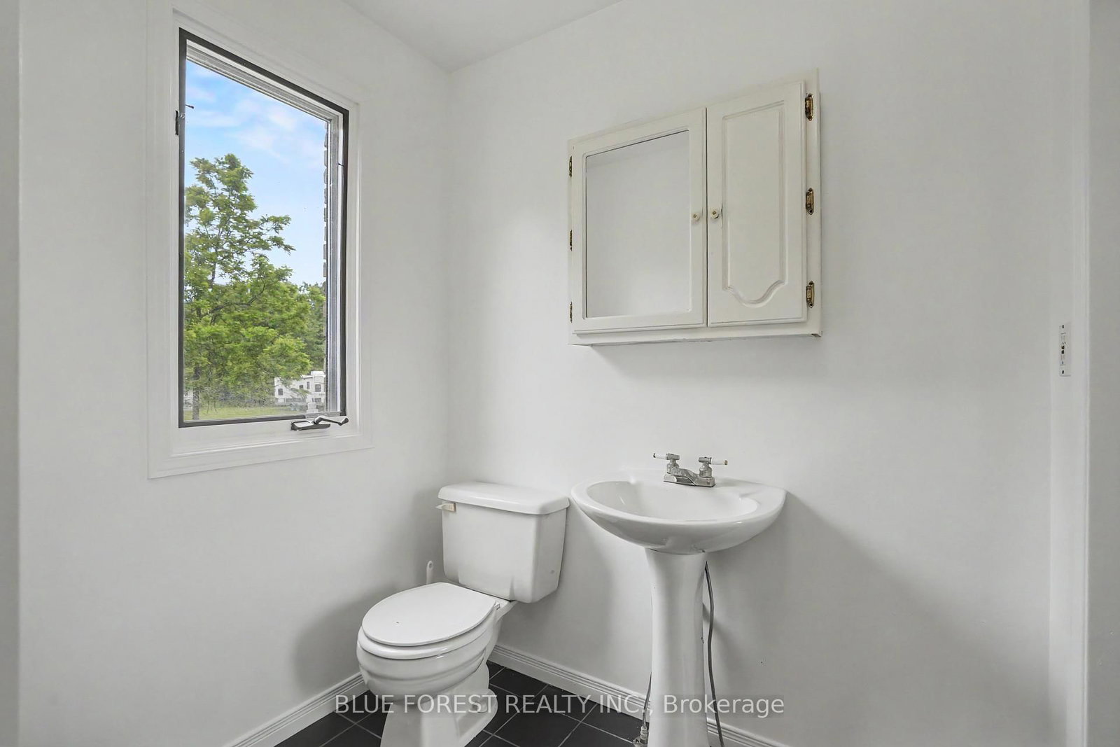 23706 Gray Line • West Elgin, ON photo 24