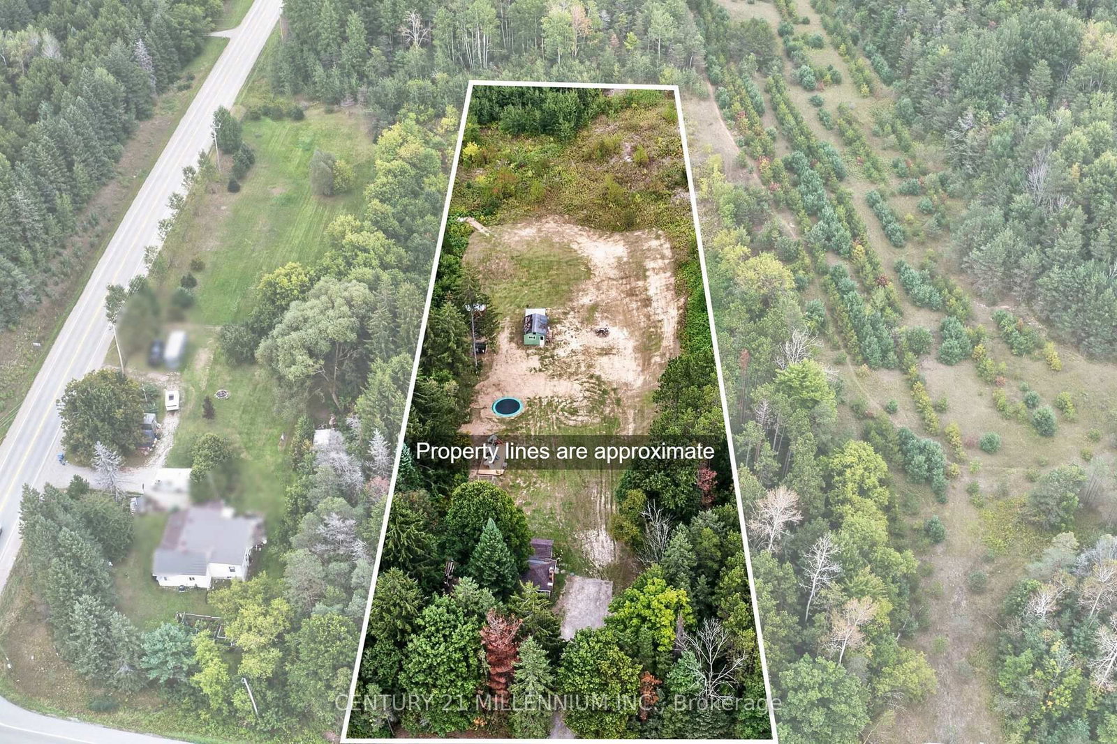 938289 Airport Road • Mulmur, ON photo 3