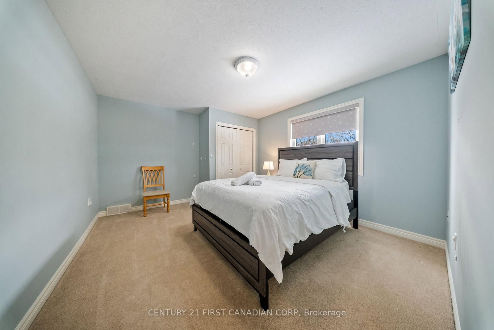 270 McGill Road • Brant, ON photo 19