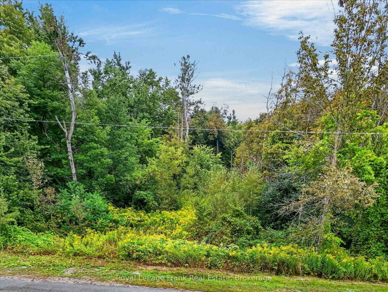 Pt Lt 26 Seaforth Cres photo 4