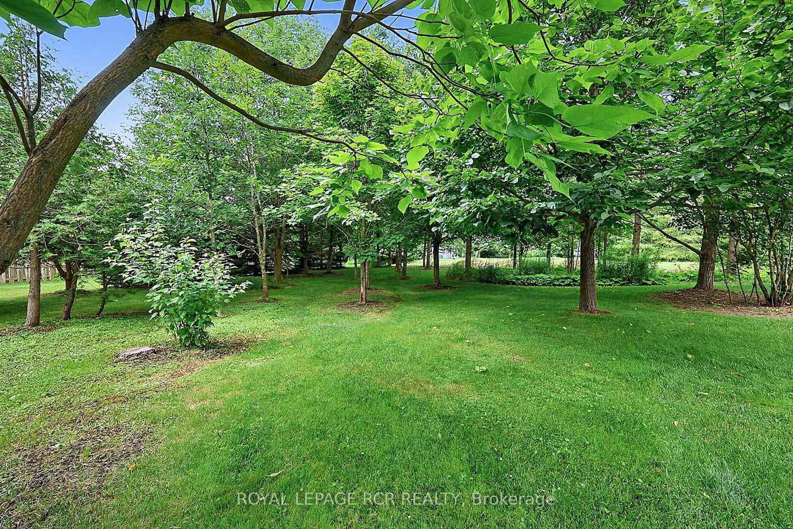 12 Peter Street • Amaranth, ON photo 39