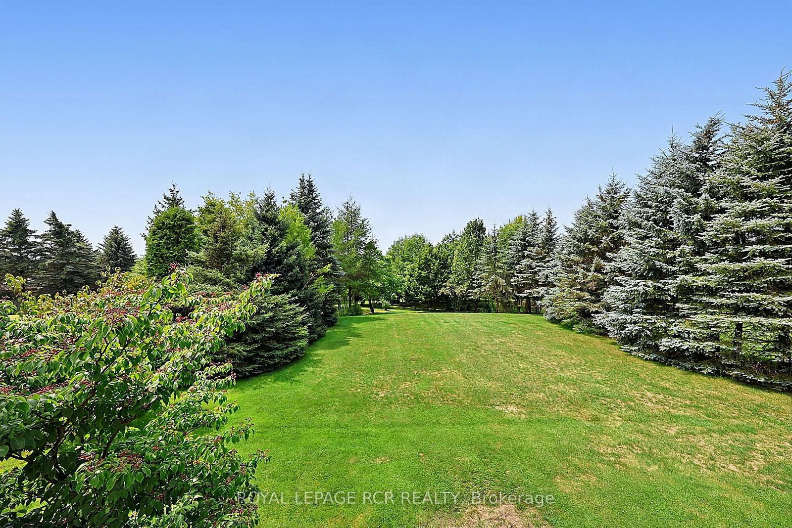 12 Peter Street • Amaranth, ON photo 44