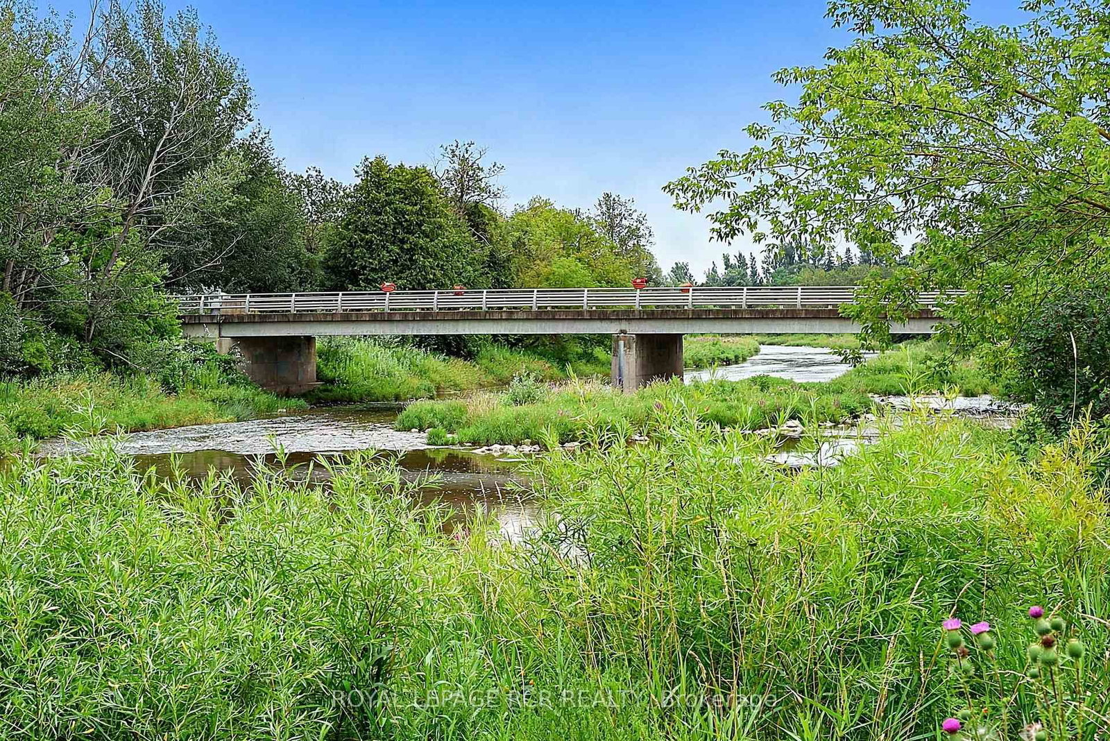 12 Peter Street • Amaranth, ON photo 45