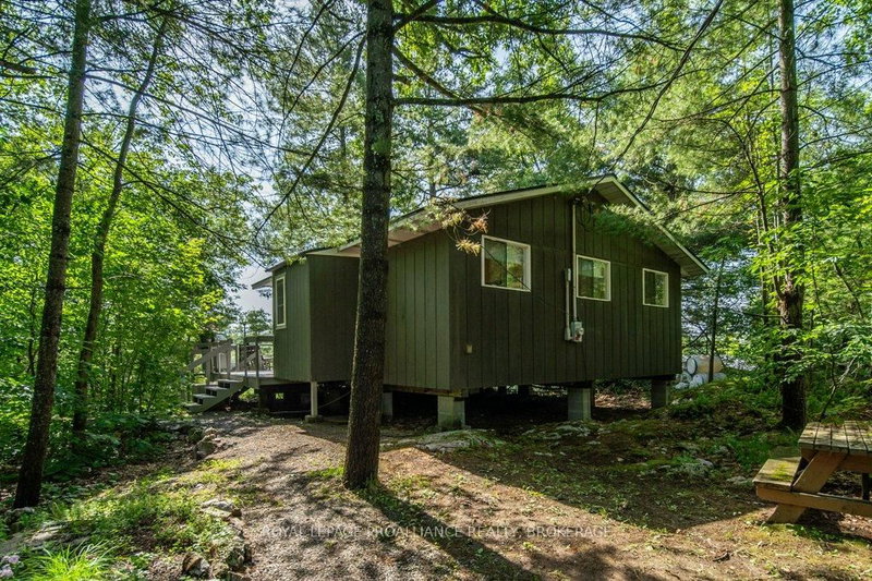 811 Hermit Thrush Lane