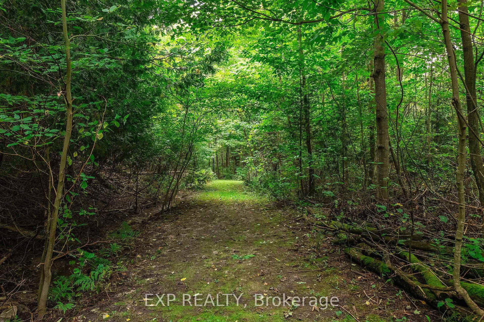 637166 Prince Of Wales Road • Mulmur, ON photo 47