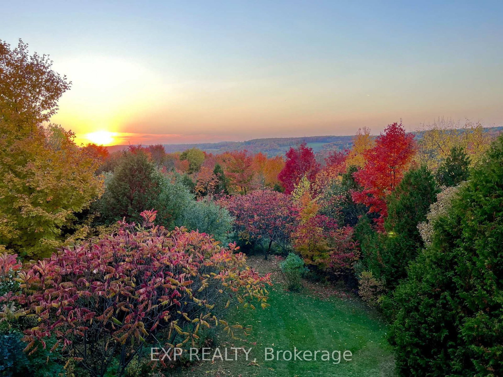 637166 Prince Of Wales Road • Mulmur, ON photo 48