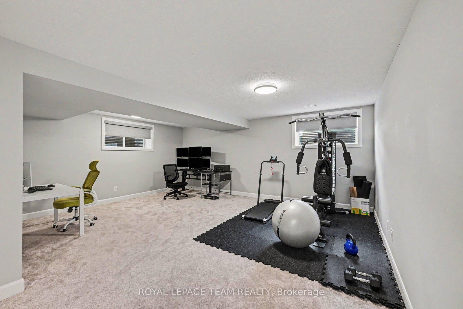 14 Berryman Street • Carleton Place, ON photo 36
