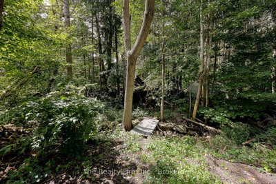 167 John Street • Ingersoll, ON photo 5