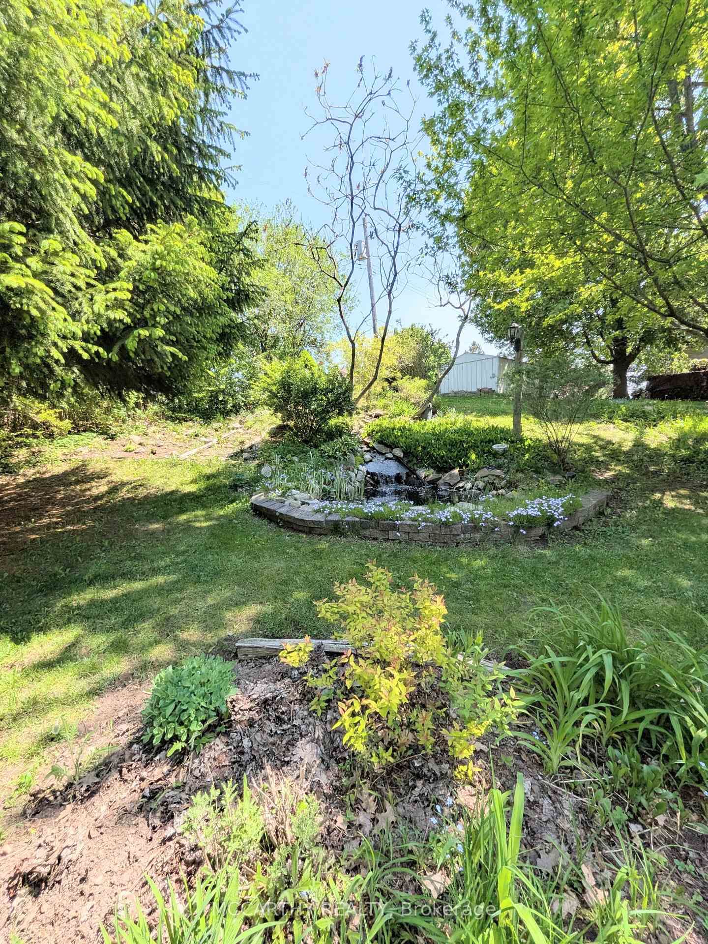 11 Lynda Avenue • Mono, ON photo 39