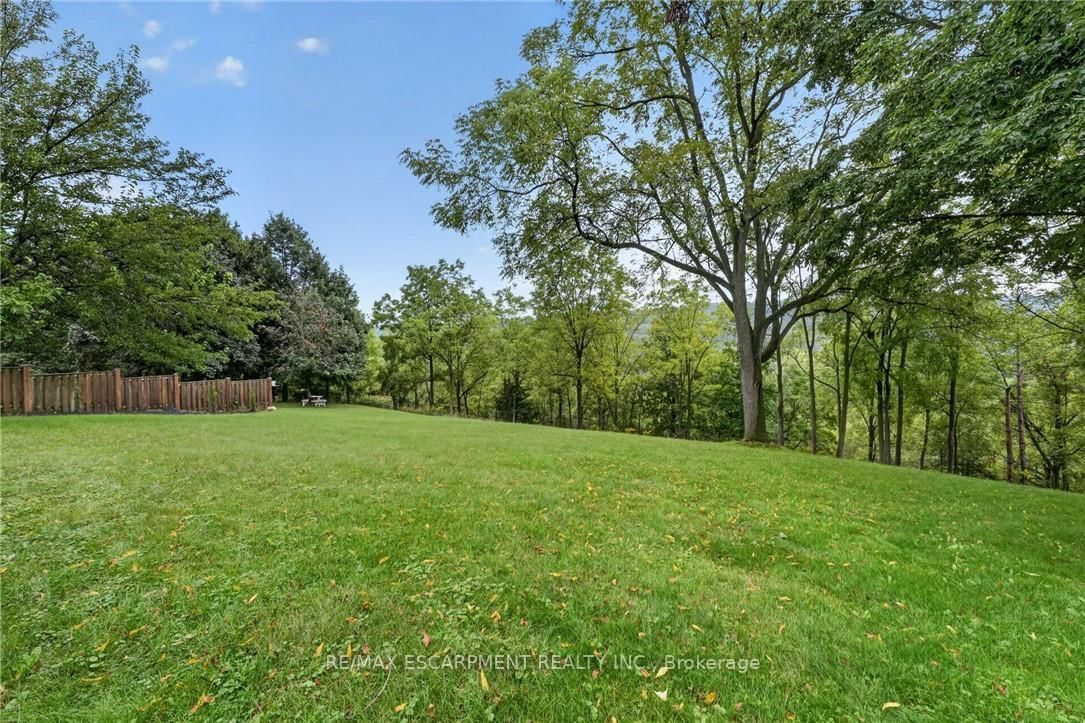 16 Elk Street • St. Catharines, ON photo 4