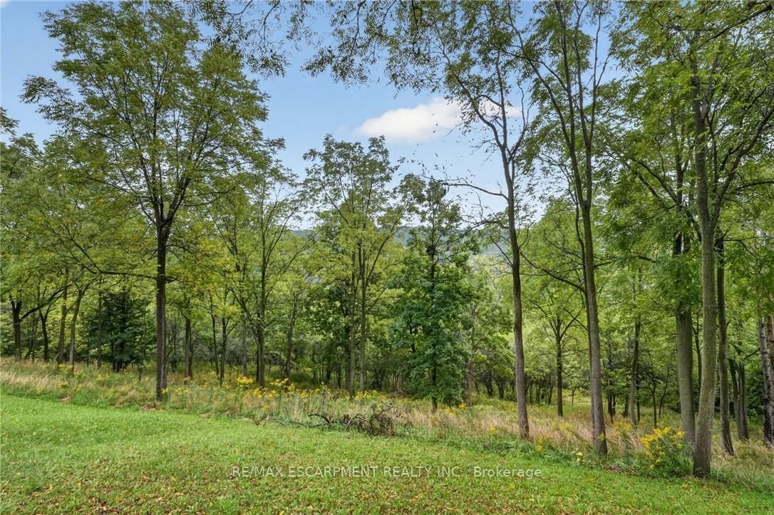 16 Elk Street • St. Catharines, ON photo 5