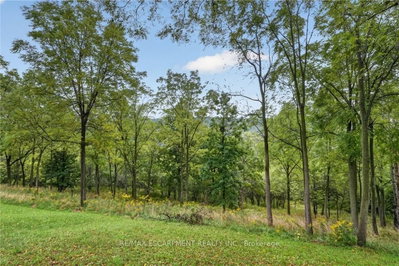 16 Elk Street • St. Catharines, ON photo 5