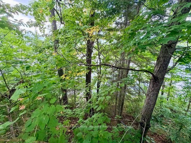 220 East Whalley Lake Road E • Magnetawan, ON photo 21