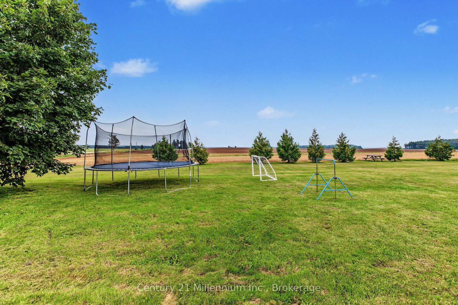 558082 Mulmur-Melancthon Townline • Melancthon, ON photo 41