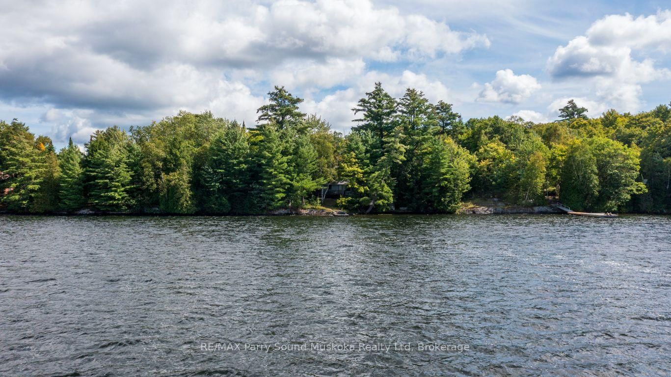 28 Porter Lane • McDougall, ON photo 38