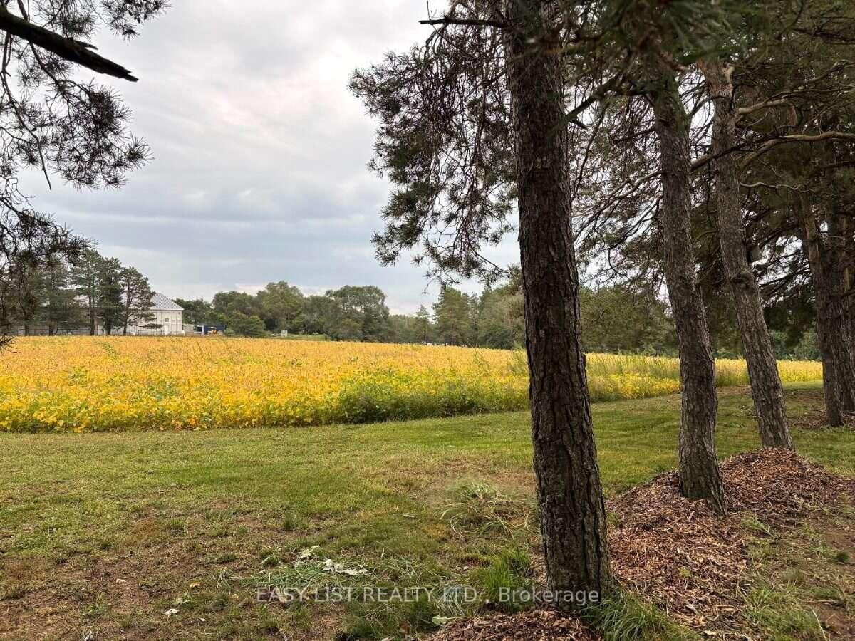 21 Bruce Rd 22 • Brockton, ON photo 19