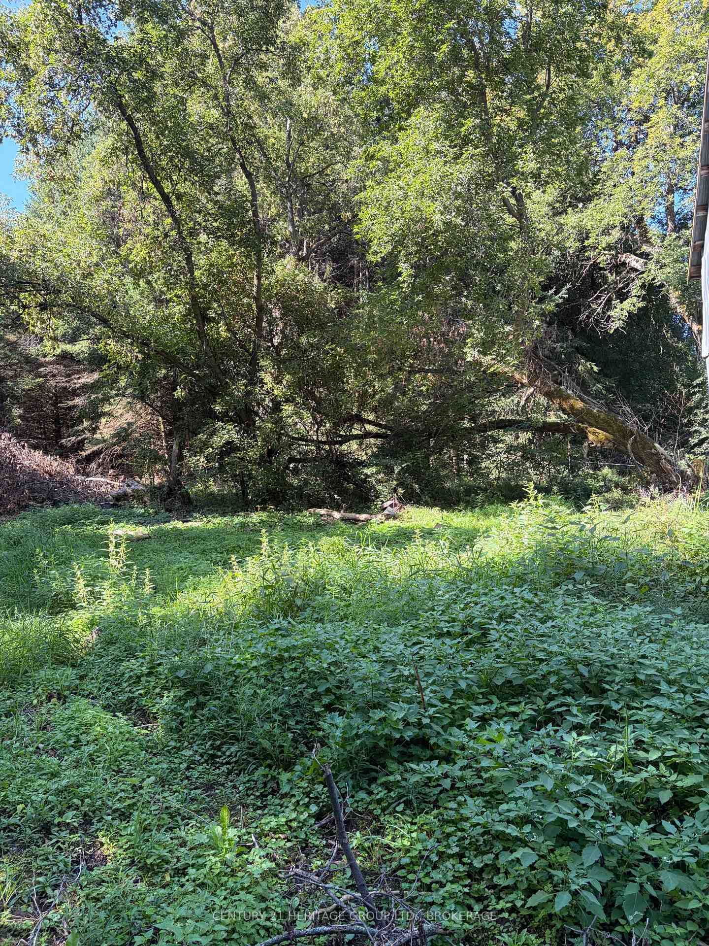 523 Lower Oak Leaf Road • Leeds and the Thousand Islands, ON photo 12