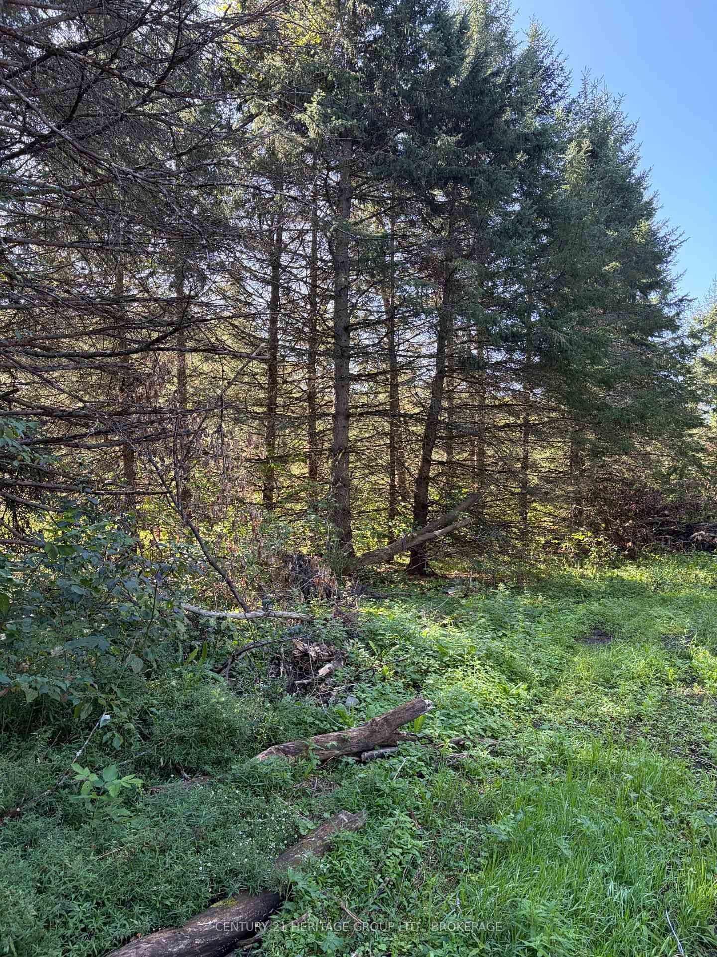 523 Lower Oak Leaf Road • Leeds and the Thousand Islands, ON photo 13