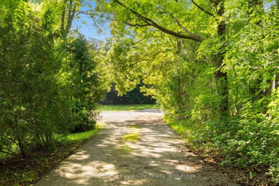 4452 Sideroad 20 N • Puslinch, ON photo 5