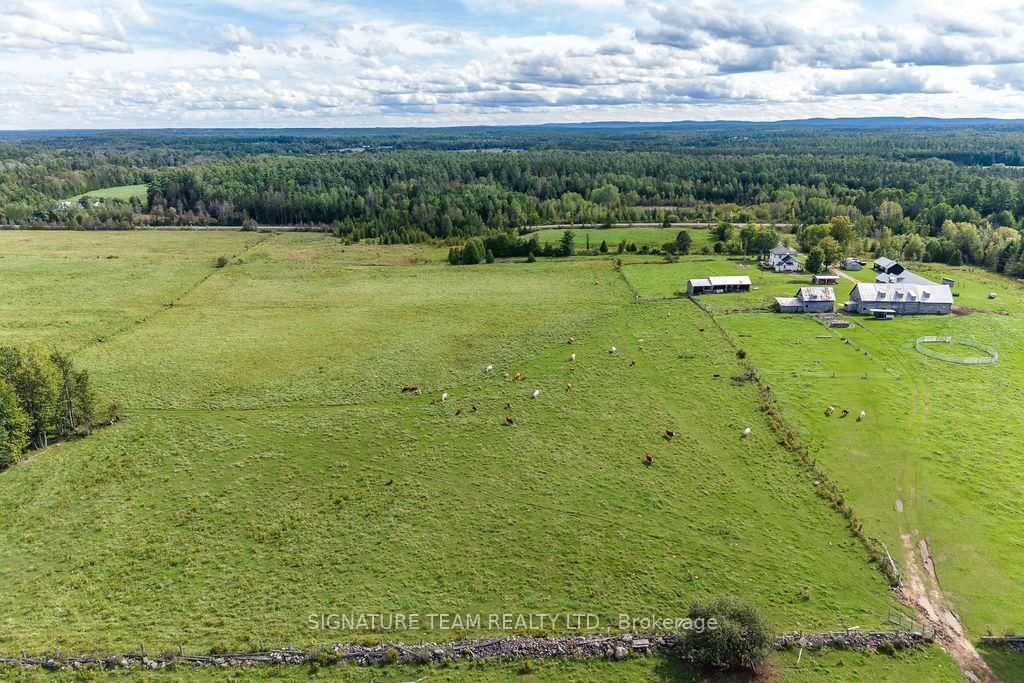 1228 Grist Mill Road • Eganville, ON photo 39