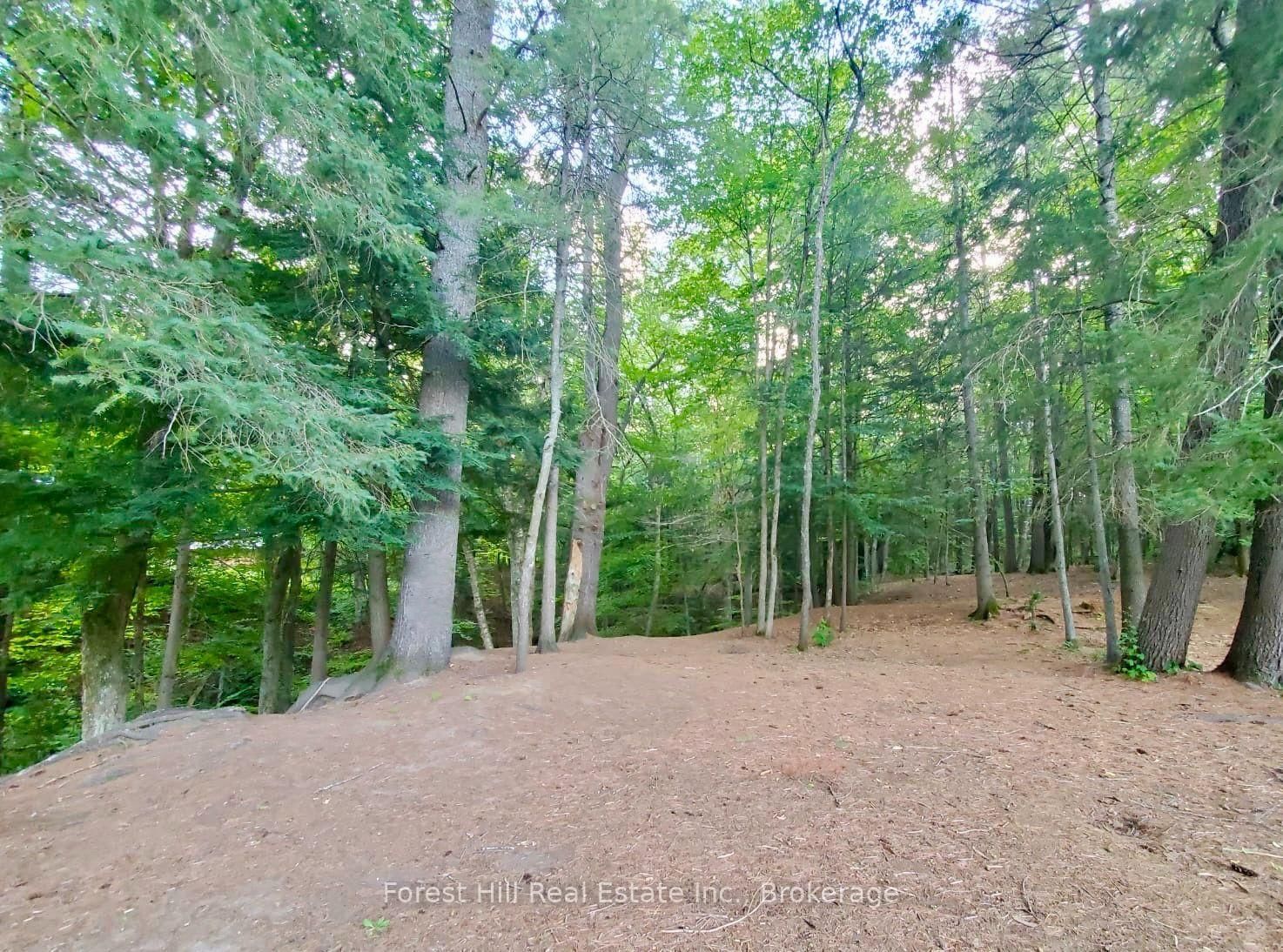 9 Spruce Glen Road • Huntsville, ON photo 46