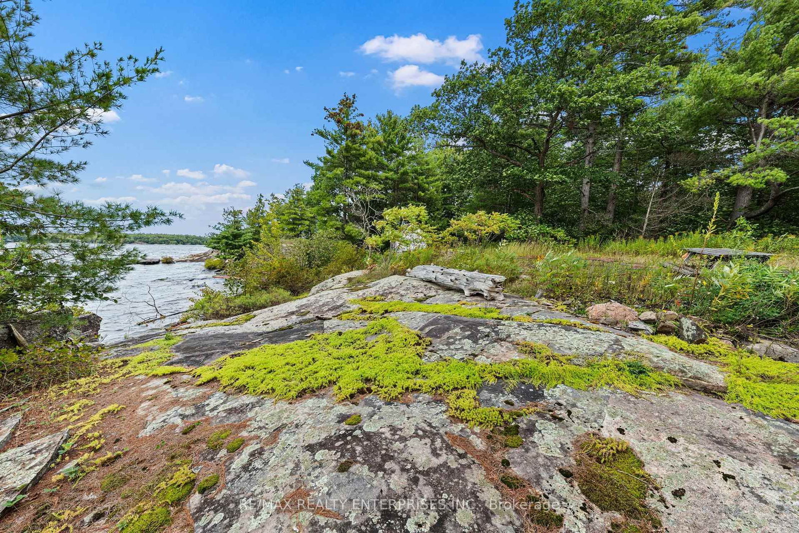 235 Art's Lane • Georgian Bay, ON photo 13