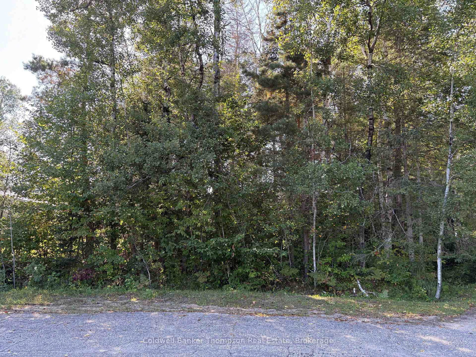 42 Tebby Boulevard • South River, ON photo 1