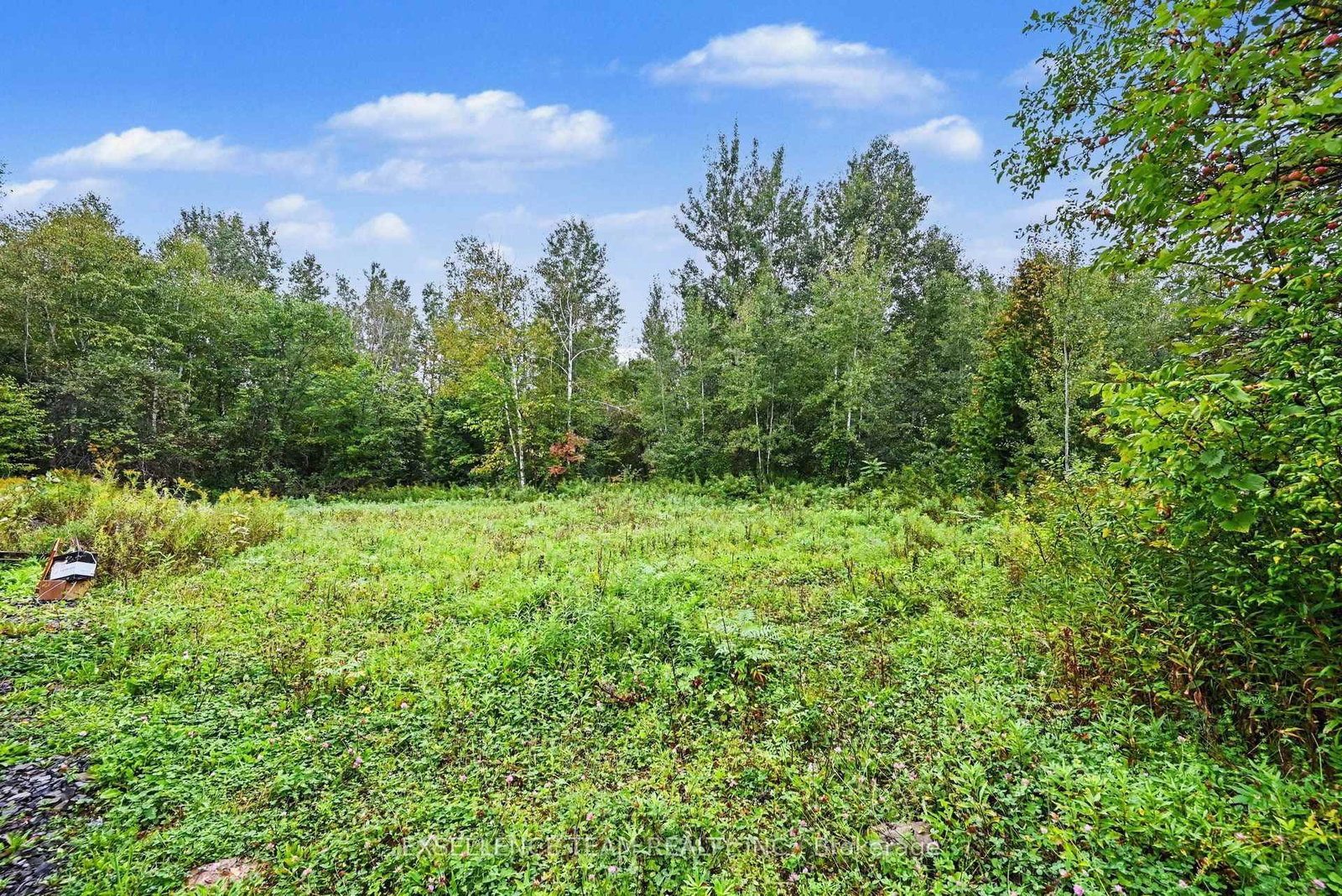 0000 Caber Road • South Glengarry, ON photo 3